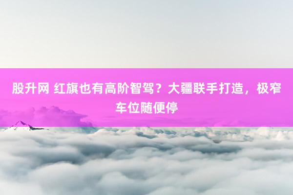 股升网 红旗也有高阶智驾？大疆联手打造，极窄车位随便停