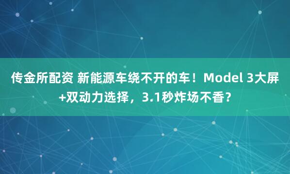 传金所配资 新能源车绕不开的车！Model 3大屏+双动力选择，3.1秒炸场不香？